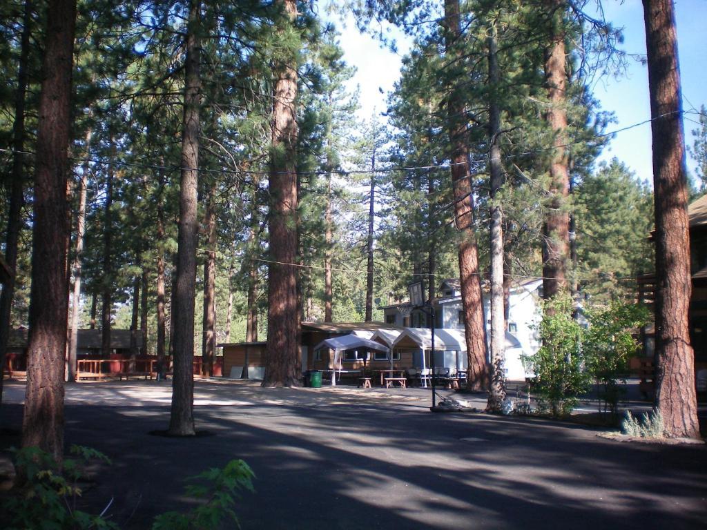 Majestic Moose Lodge - Coptic Village Big Bear Lake Exterior photo
